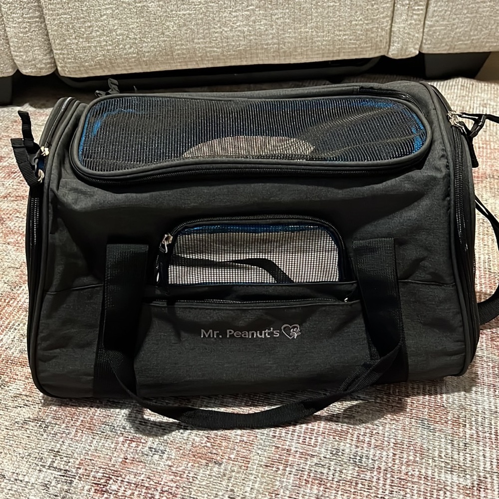 Pet travel carrier